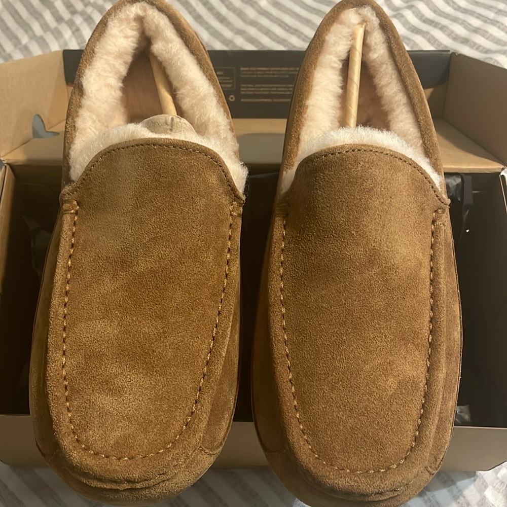 Brand new never worn Ugg slipper